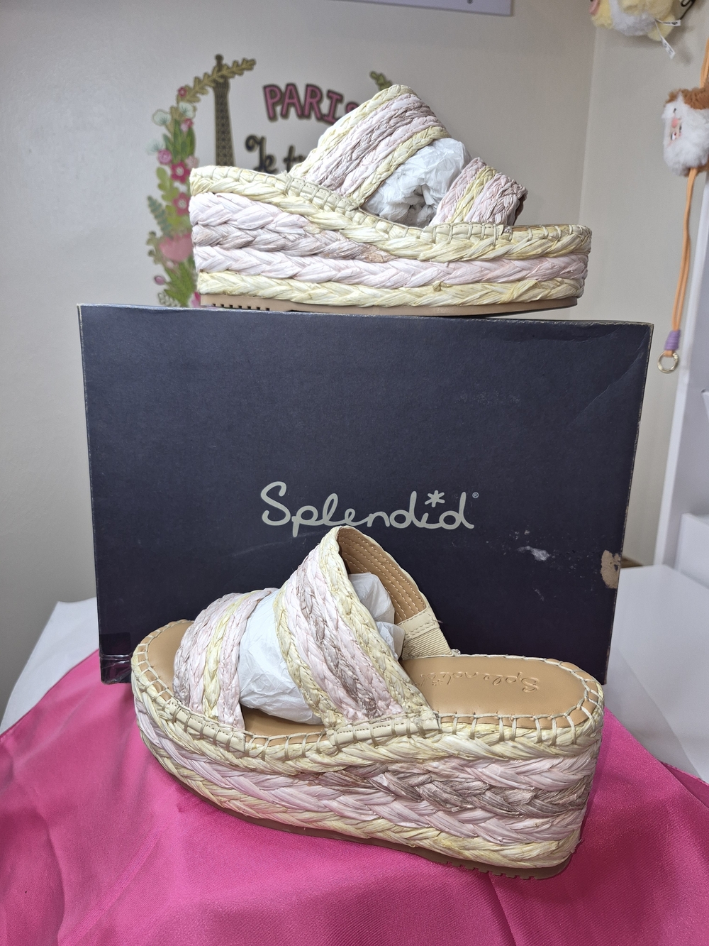 Splendid Braided Platform Slide Sandals in Pink & Cream